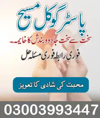 Health & Wellness Solutions